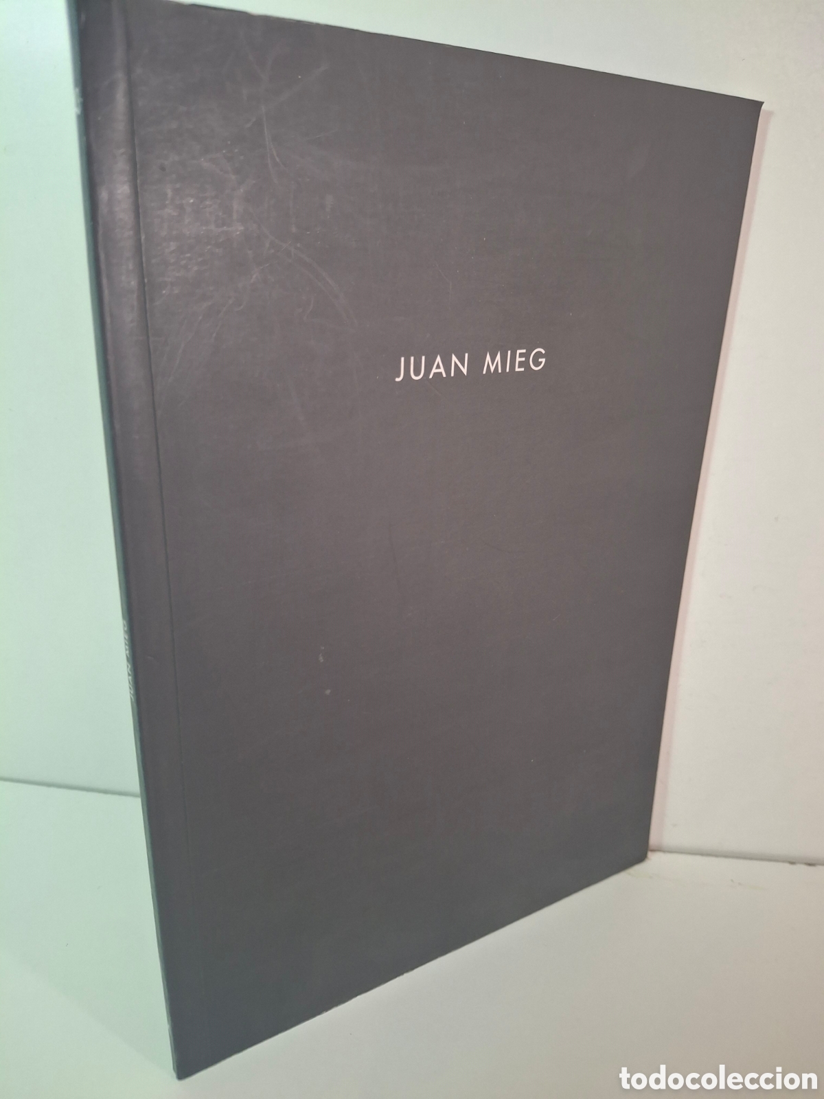 Arte: CATALOGO JUAN MIEG, OLEOS 2005, GALERIA DE ARTE JUAN MANUEL LUMBRERAS, 2006