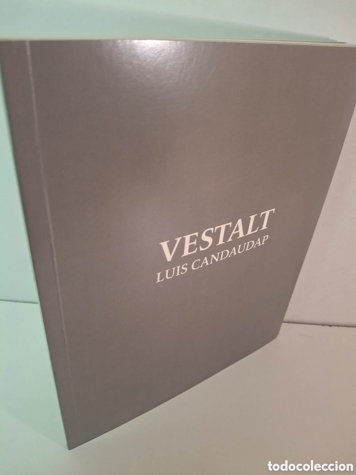 Arte: CATALOGO LUIS CANDAUDAP, VESTALT, GALERIA DE ARTE JUAN MANUEL LUMBRERAS, 2008