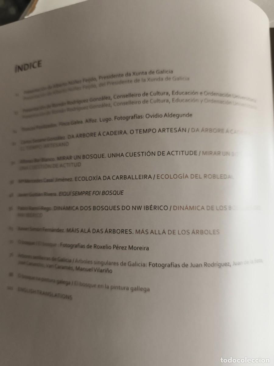 Arte: Da arbore a cadeira , fundaci&oacute;n cidade da cultura, Xunta de Galicia