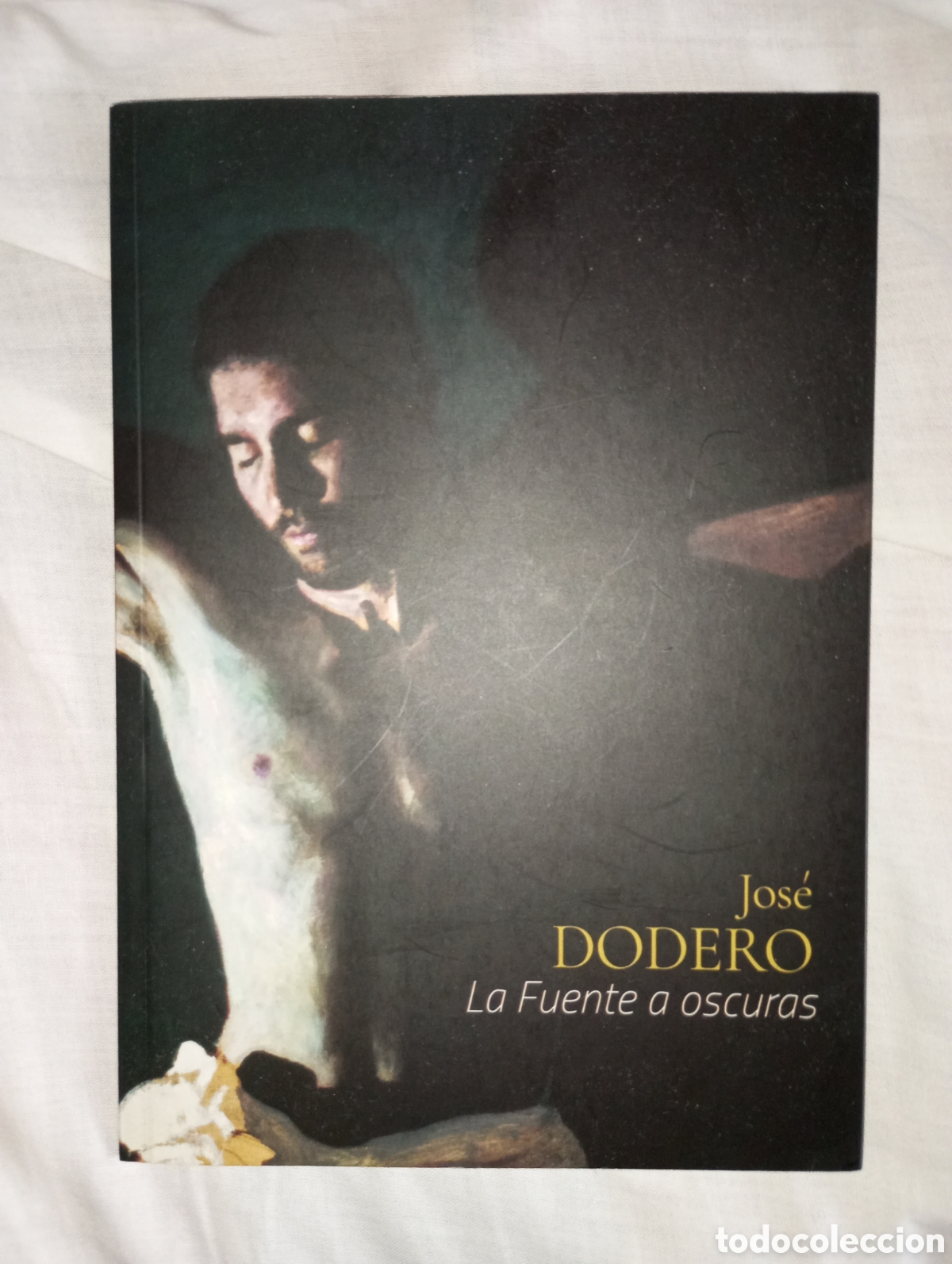 Arte: Catalogo de exposici&oacute;n del pintor Jose Dodero La fuente a oscuras C&aacute;diz 2017.30 pp