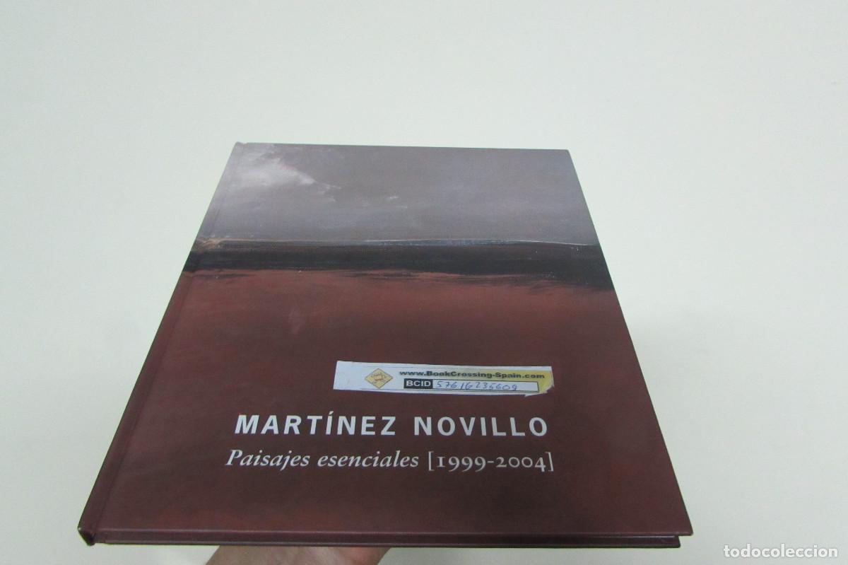 Arte: MART&Iacute;NEZ NOVILLO - Paisajes esenciales