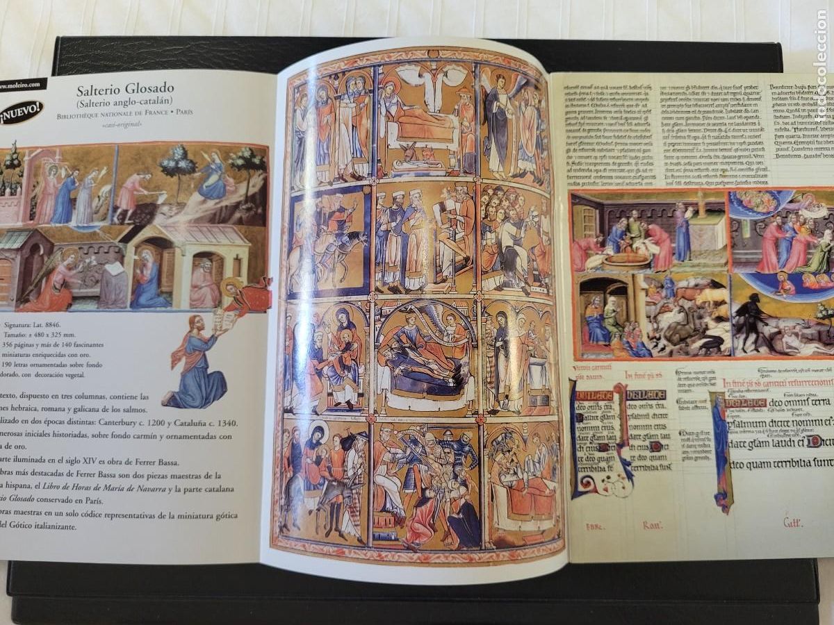Art: Lote editorial Moleiro, El arte de la perfecci&oacute;n.