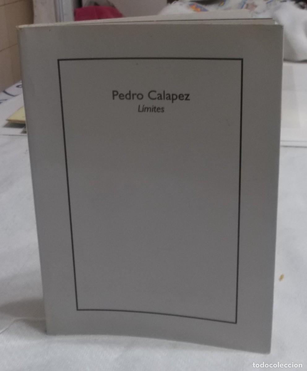 Arte: catalogo de Pedro Calapez Limites Galeria Bores & Mallo Caceres