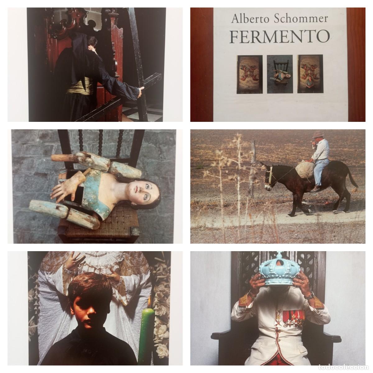 Arte: ALBERTO SCHOMMER FERMENTO 33CMS 137PGS LG2