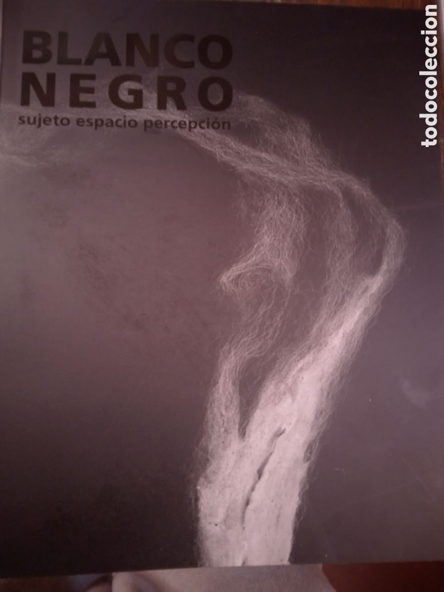 Arte: BLANCO NEGRO. SUJETO ESPACIO PERCEPCION. BILING&Uuml;E. MUSEOS DE LA COMUNITAT VALENCIANA. MADRID. 2009