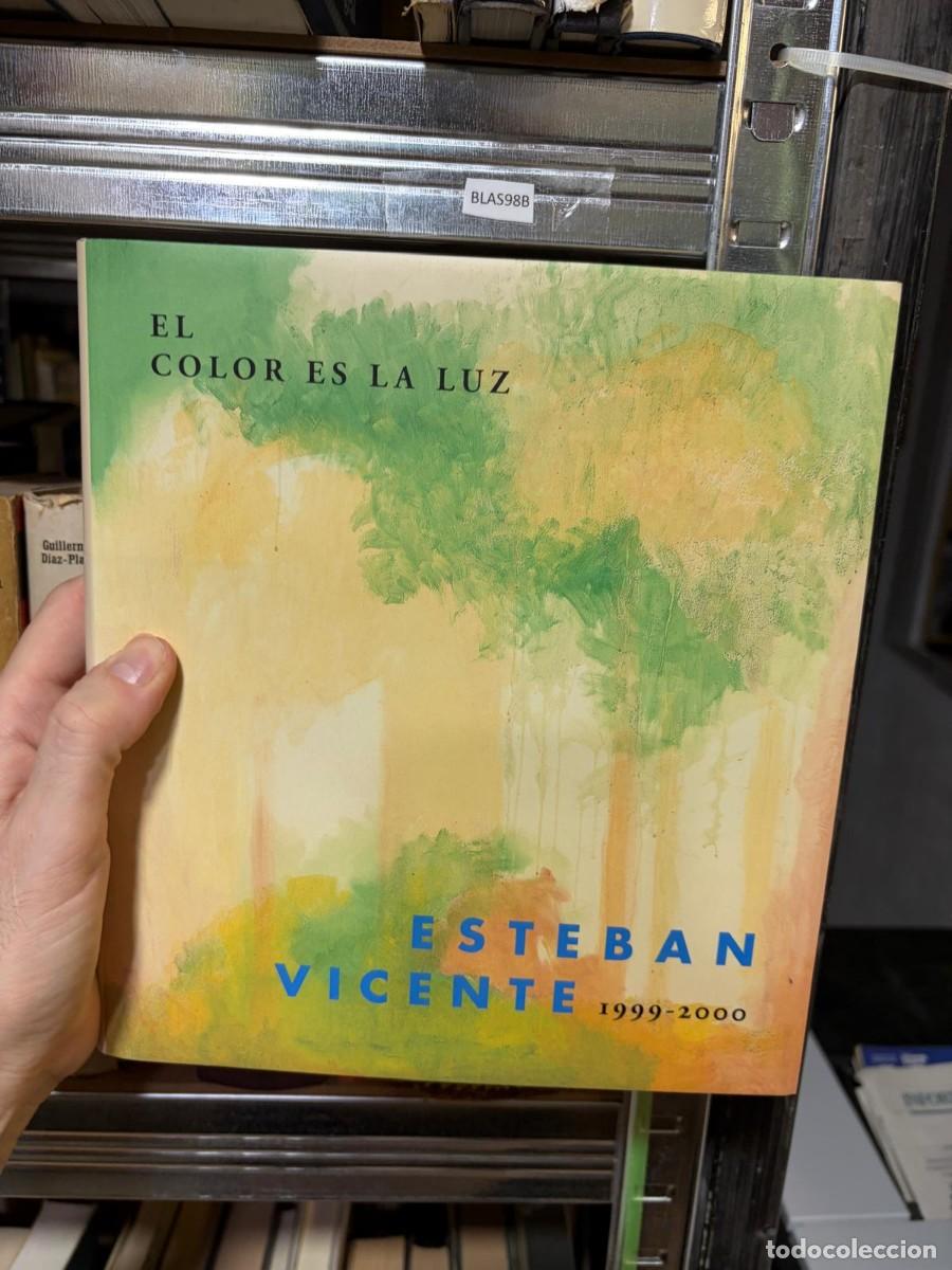 Arte: BLAS98B El color es la luz. Esteban Vicente 1999-2000 Esteban Vicente Museo de Arte Contempor&aacute;neo Es