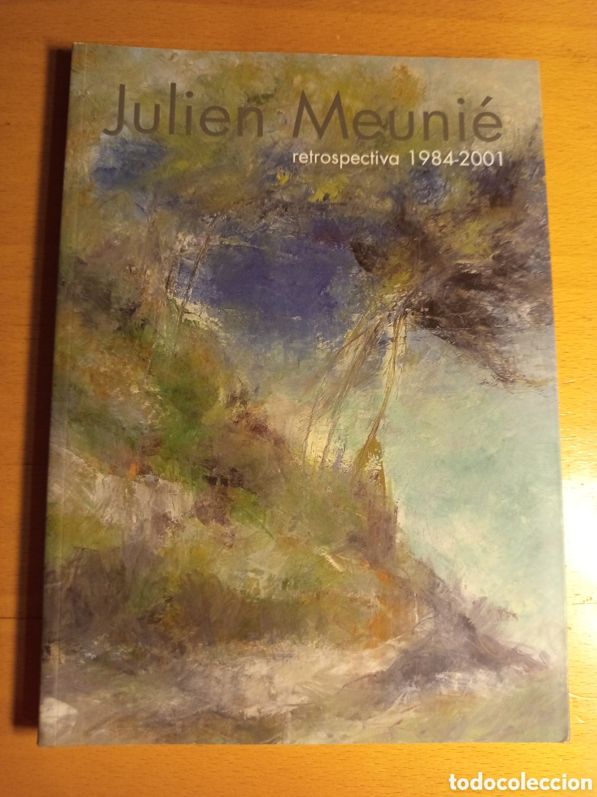 Arte: JULIEN MEUNIE. RETROSPECTIVA 1984-2001