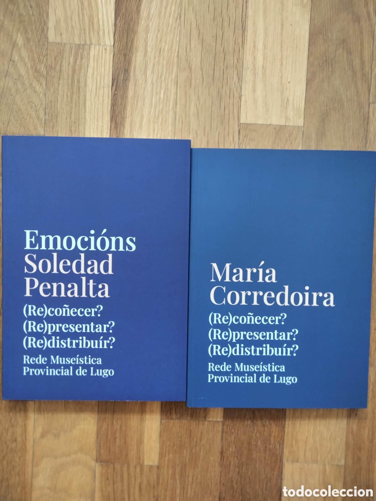 Arte: Mar&iacute;a Corredoira / Emoci&oacute;ns, Soledad Penalta. Rede Muse&iacute;stica de Lugo