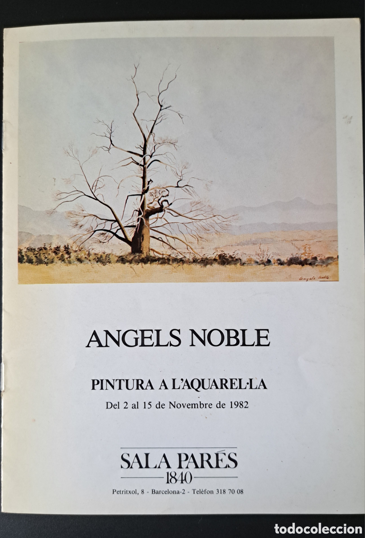 Arte: Cat&aacute;logo &Agrave;ngels Noble - Sala Par&eacute;s 1982