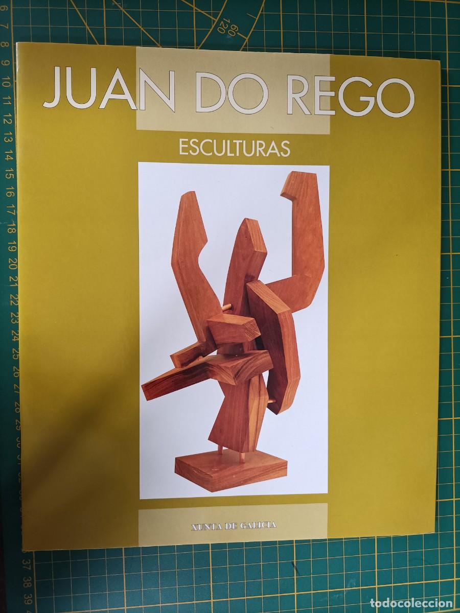Arte: JUAN DO REGO, ESCULTURAS. XUNTA DE GALICIA. CASA DE GALICIA, 1996