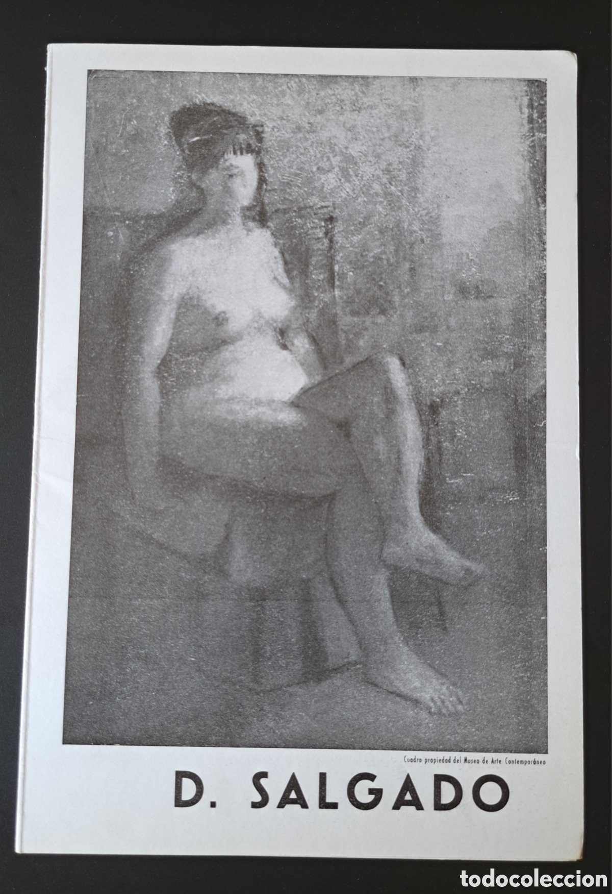 Arte: Cat&aacute;logo Demetrio Salgado - Galer&iacute;a C&iacute;rculo 2 (Madrid) A&ntilde;o?