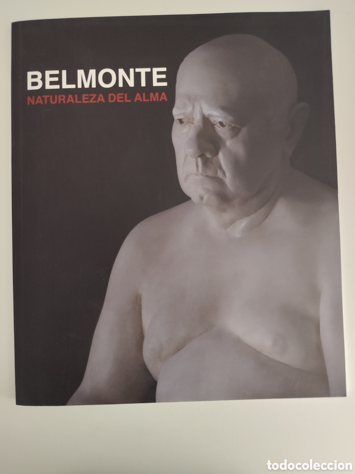 Arte: BELMONTE Naturaleza del Alma