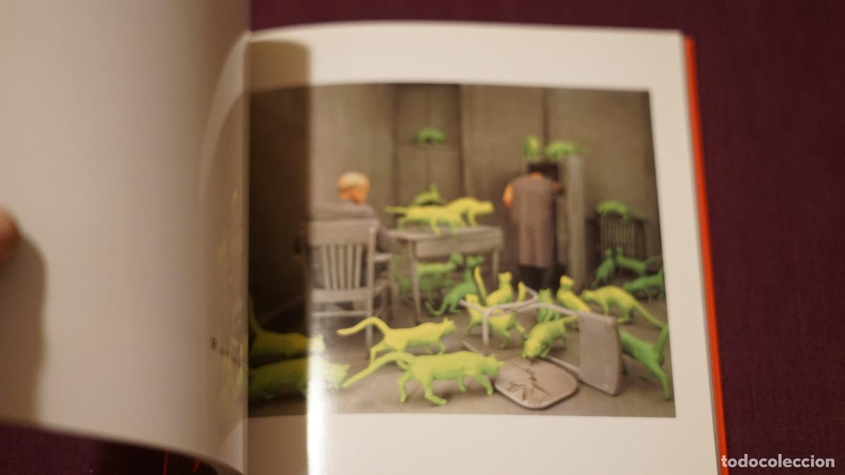 Arte: Sandy Skoglund - La caixa - Foto 2