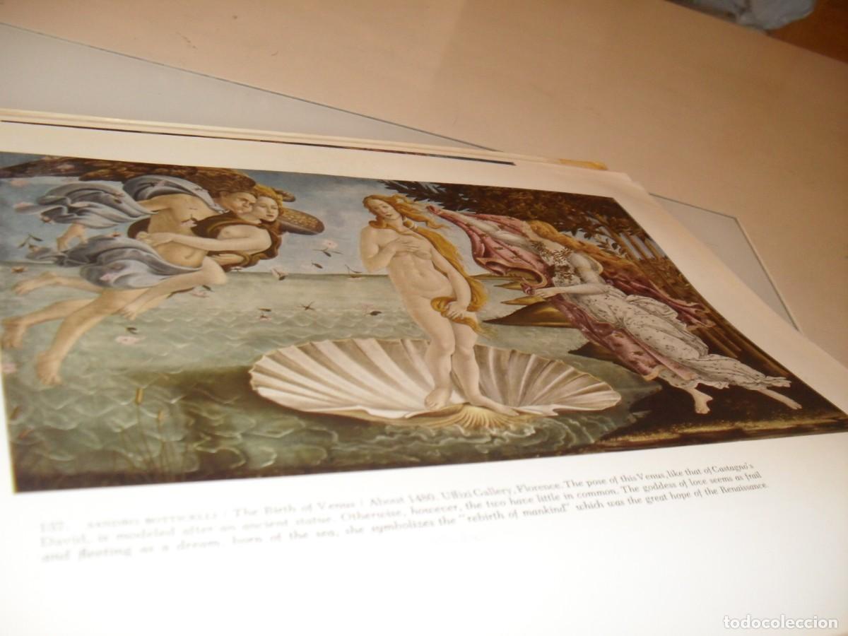 Arte: BELLA LAMINA:EL NACIMIENTO DE VENUS,DE SANDRO BOTTICELLI,DEL LIBRO PICTURE HISTORY OF PAINTING,1963