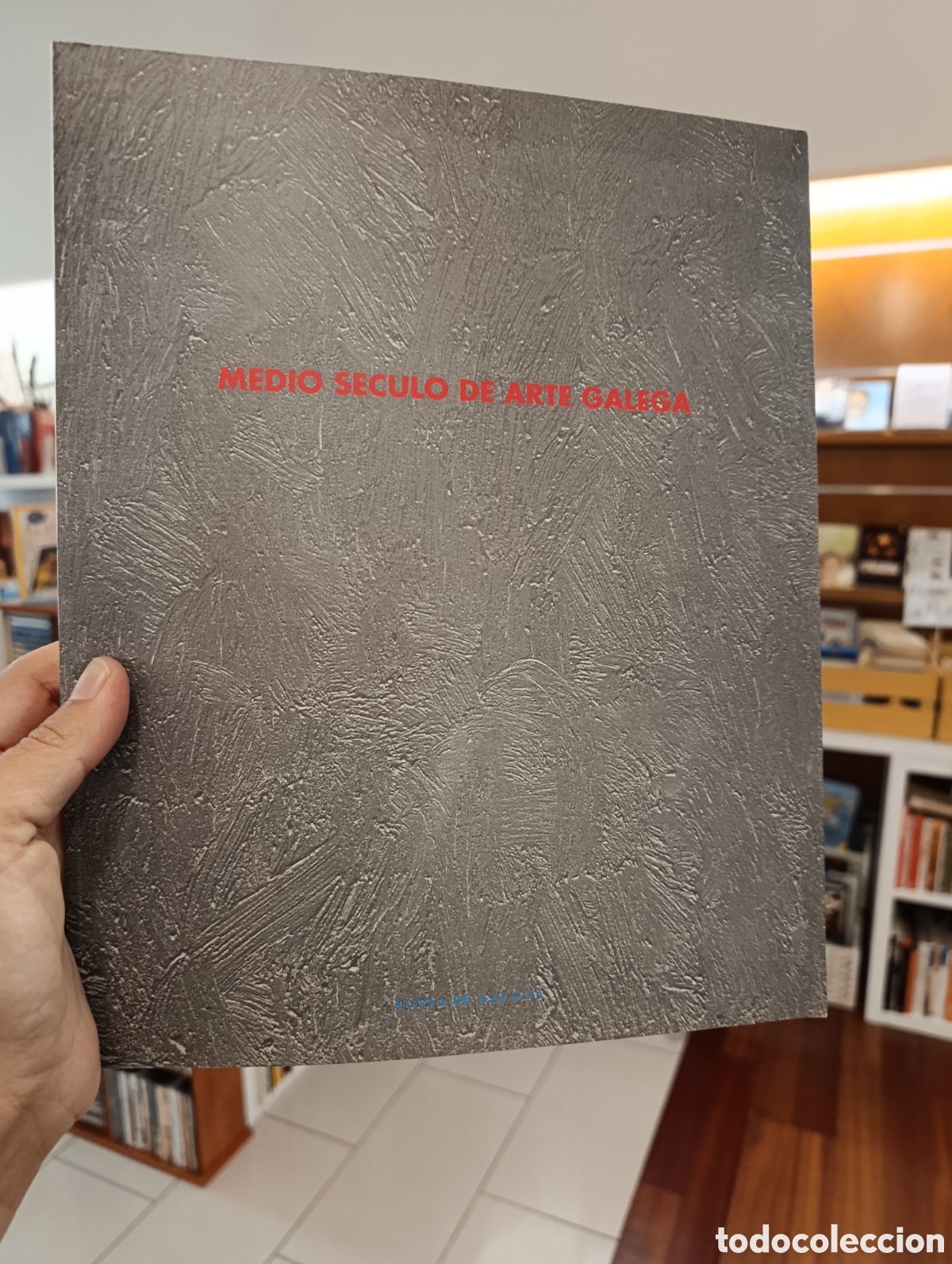 Arte: MEDIO S&Eacute;CULO DE ARTE GALEGA. CASTELAO, SEOANE, LAXEIRO, LUGRIS, GRANELL, GRANDIO, COLMEIRO, MASIDE