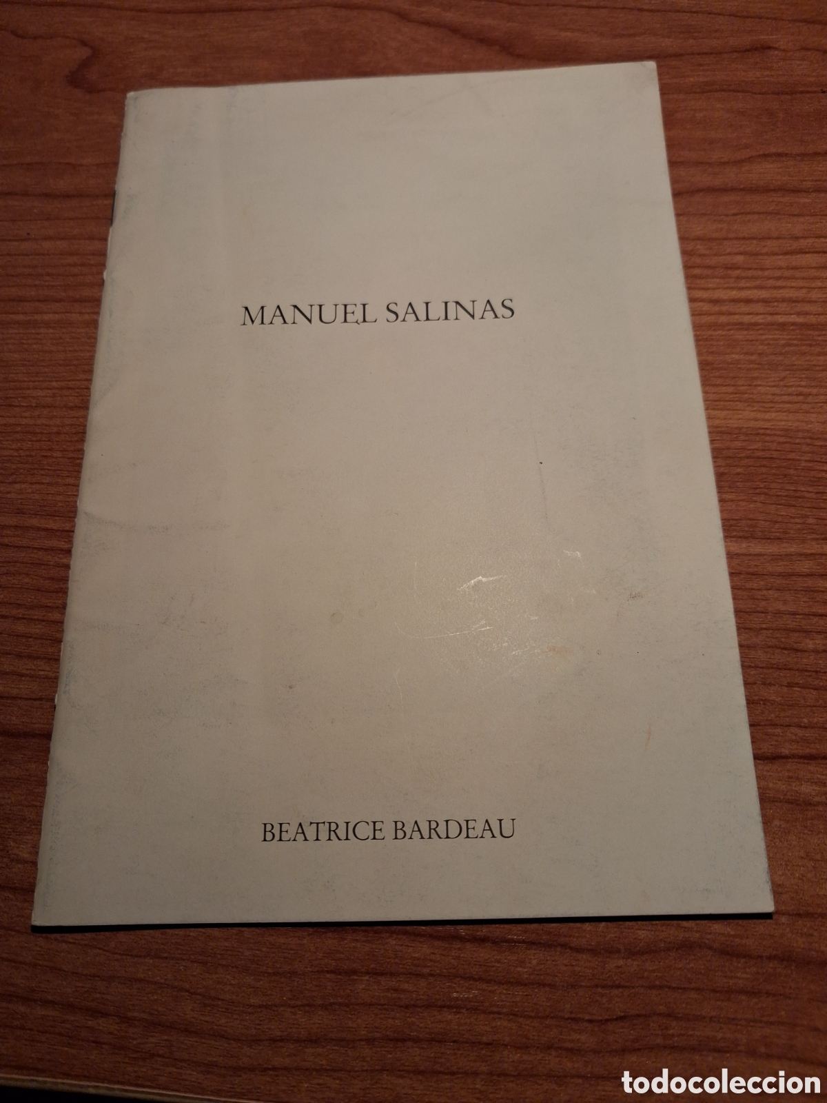 Arte: MANUEL SALINAS. CATALOGO GALERIA BEATRICE BARDEAU.1989