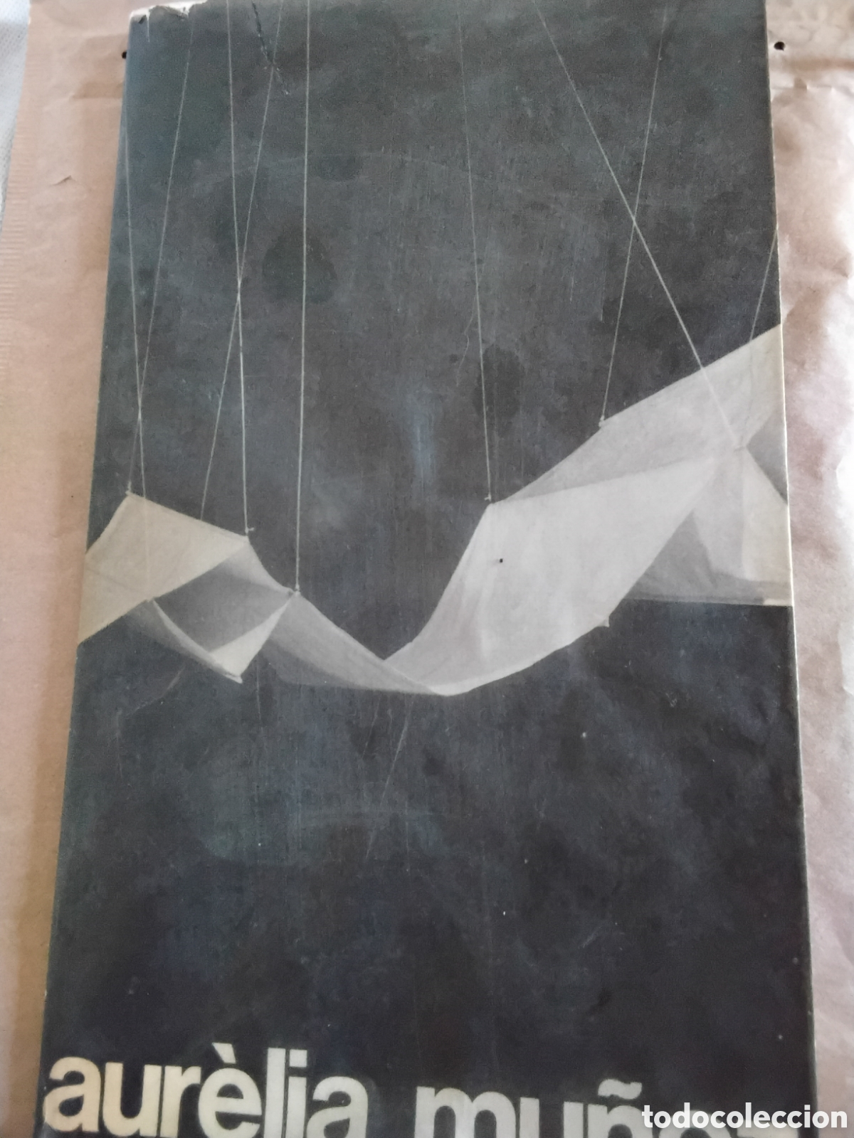 Arte: AUR&Egrave;LIA MU&Ntilde;OZ. PALACIO DE CRISTAL DEL RETIRO. 1982