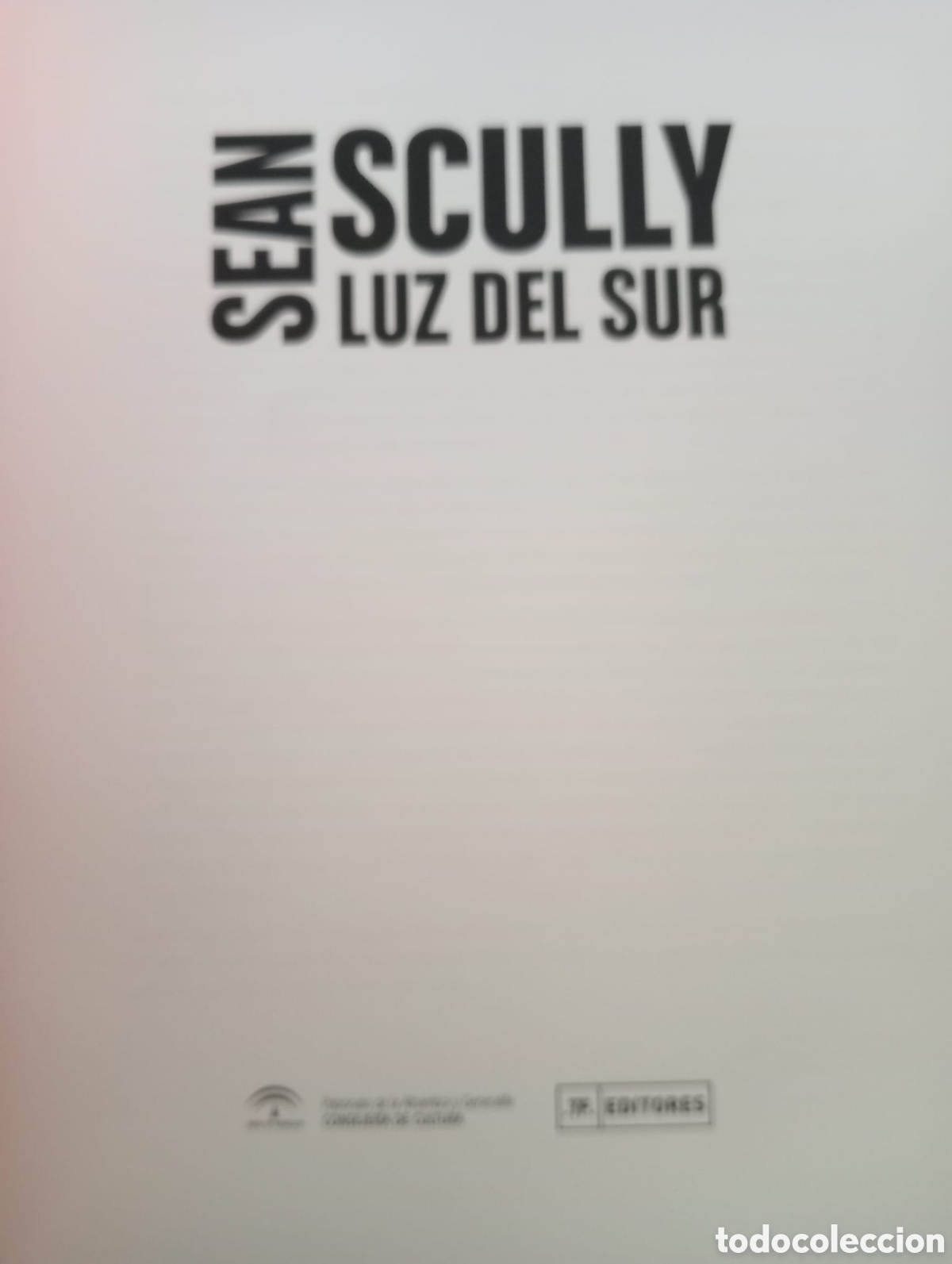 Arte: Scully. Luz del sur. Cat&aacute;logo de exposici&oacute;n - Foto 3