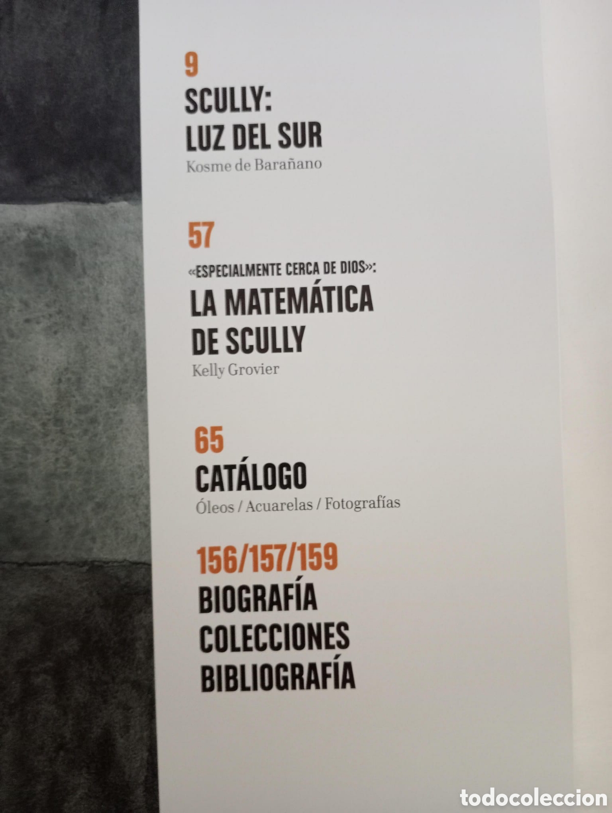 Arte: Scully. Luz del sur. Cat&aacute;logo de exposici&oacute;n - Foto 4