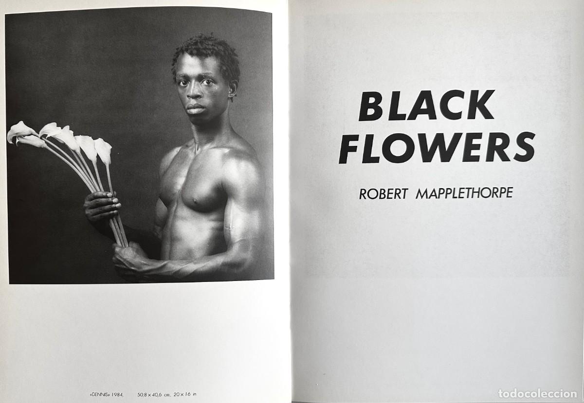 Arte: Robert Mapplethorpe Black Flowers Galer&iacute;a Fernando Vijande, Madrid, 1985
