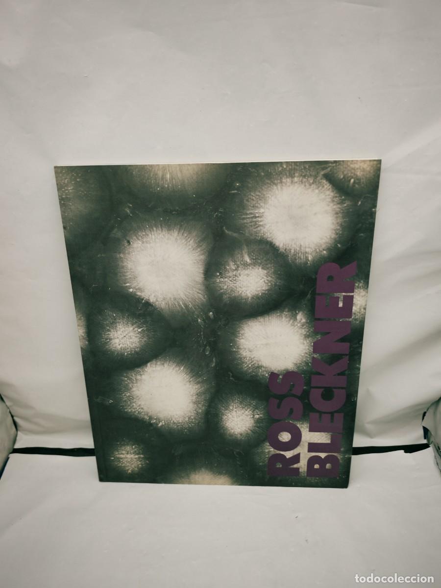 Arte: Ross Bleckner: Obra 1993-1994 (Cat&aacute;logo exposici&oacute;n, Madrid 1994)