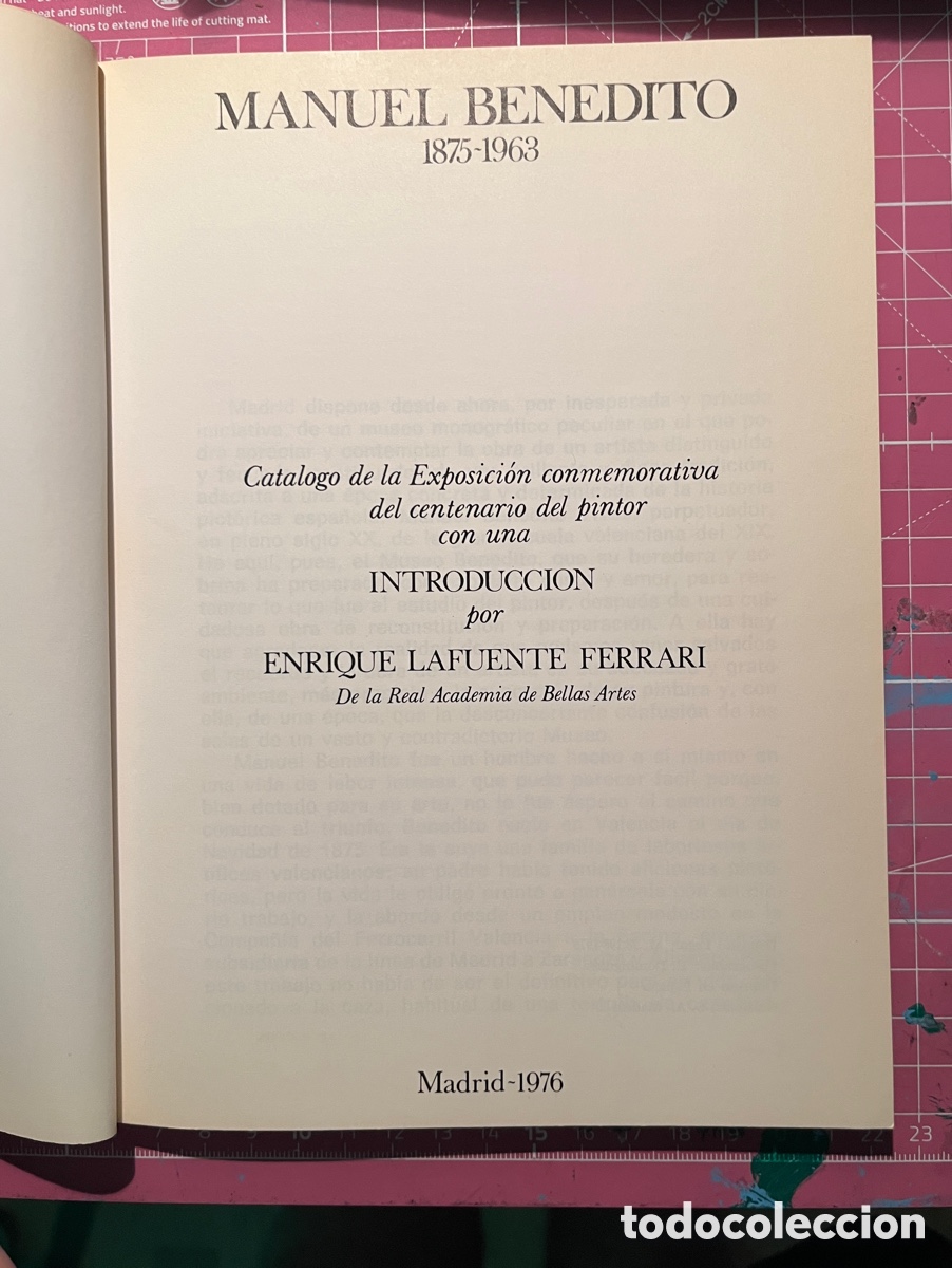 Arte: MANUEL BENEDITO. 1976 - Foto 2