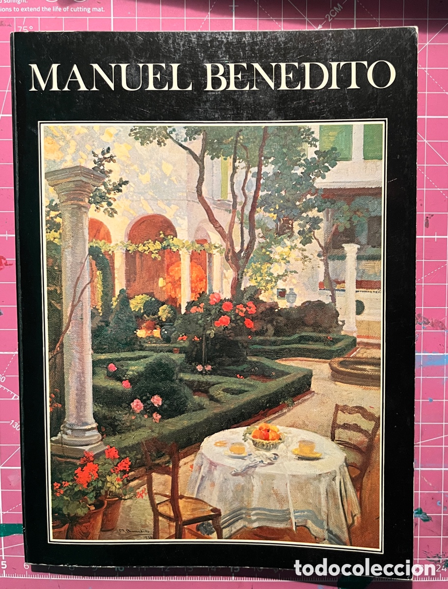 Arte: MANUEL BENEDITO. 1976 - Foto 1