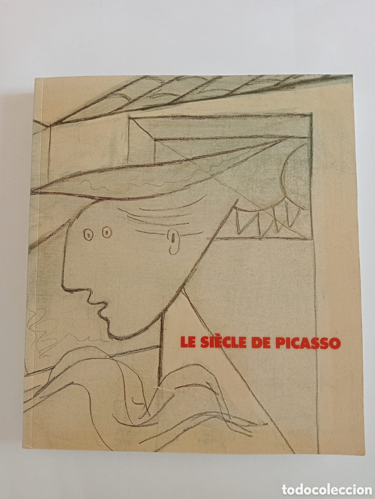 Arte: Le si&egrave;cle de Picasso. Cinq si&egrave;cles d'art espagnol tome 2