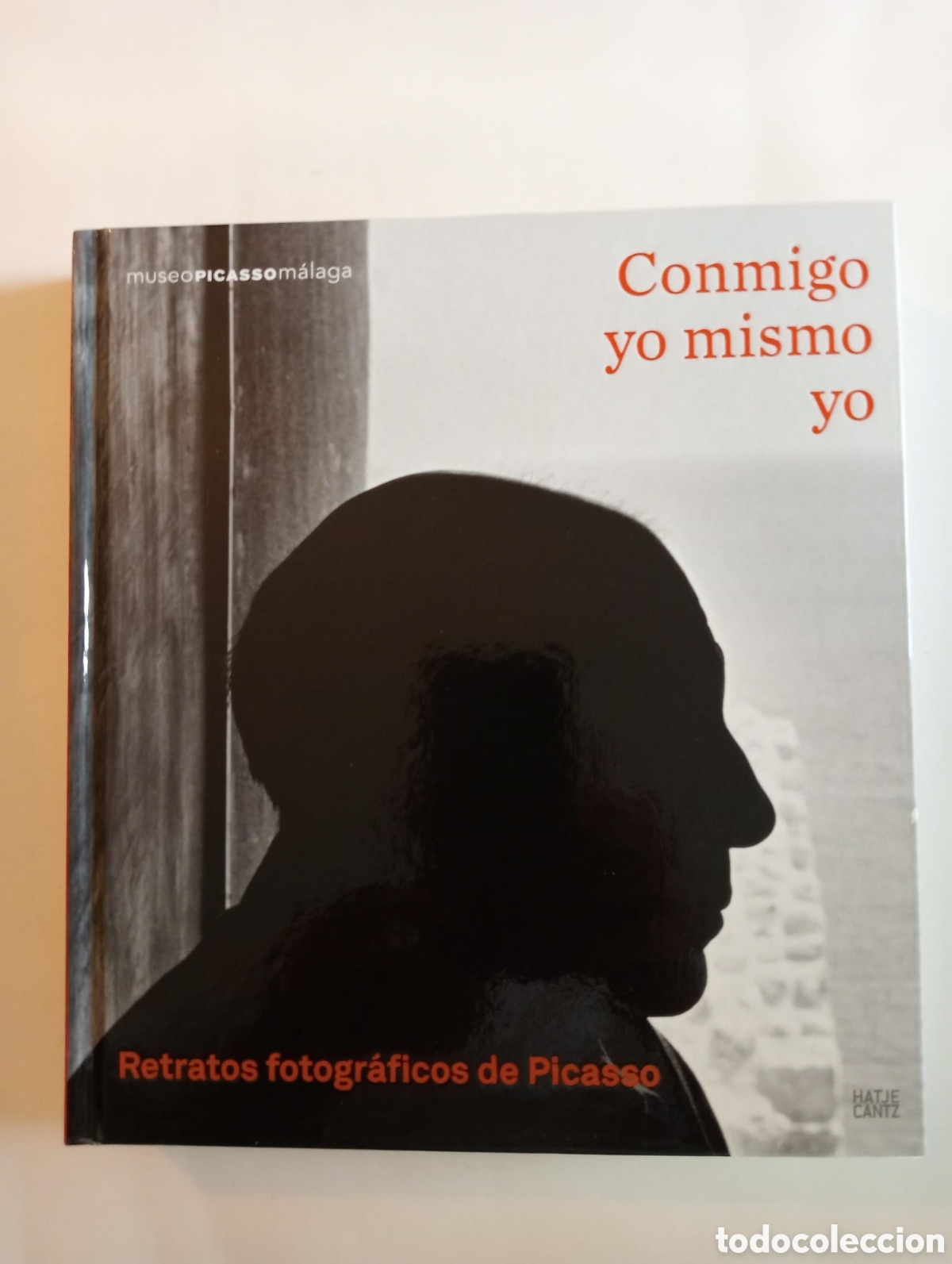 Arte: Conmigo, yo mismo, yo. Retratos fotogr&aacute;ficos de Picasso. Museo Picasso M&aacute;laga,
