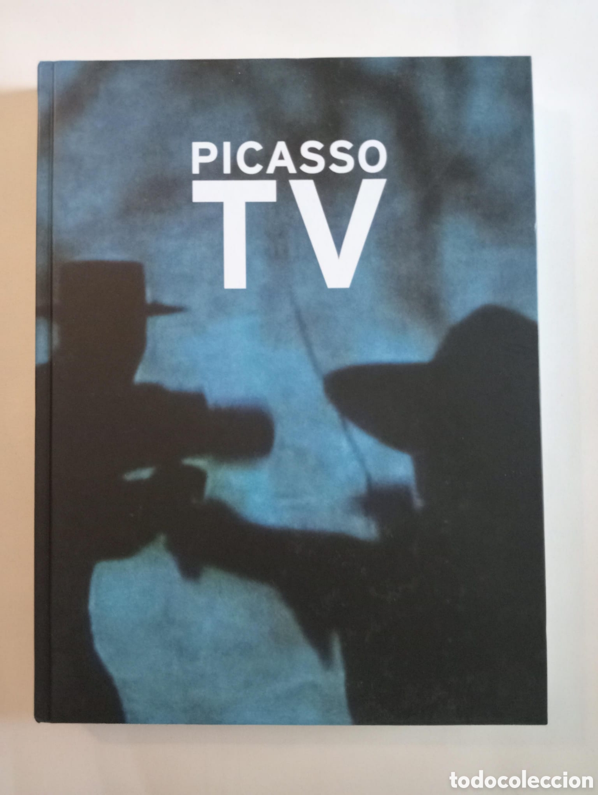 Arte: Picasso TV. Museo Picasso M&aacute;laga