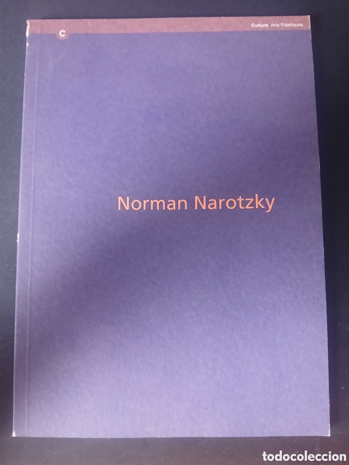 Arte: NORMAN NAROTZKY. CAT&Aacute;LOGO DE LA EXPOSICI&Oacute;N EN EL CENTRE D' ART SANTA M&Ograve;NICA. BARCELONA 1999.