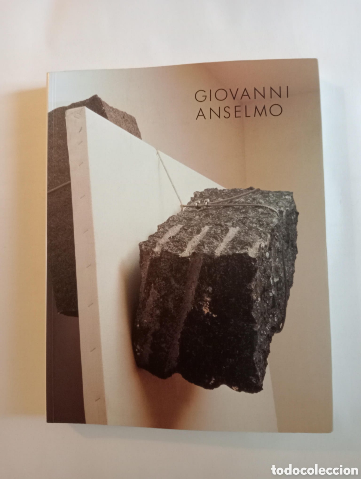 Arte: Giovane Anselmo / Gloria Moure