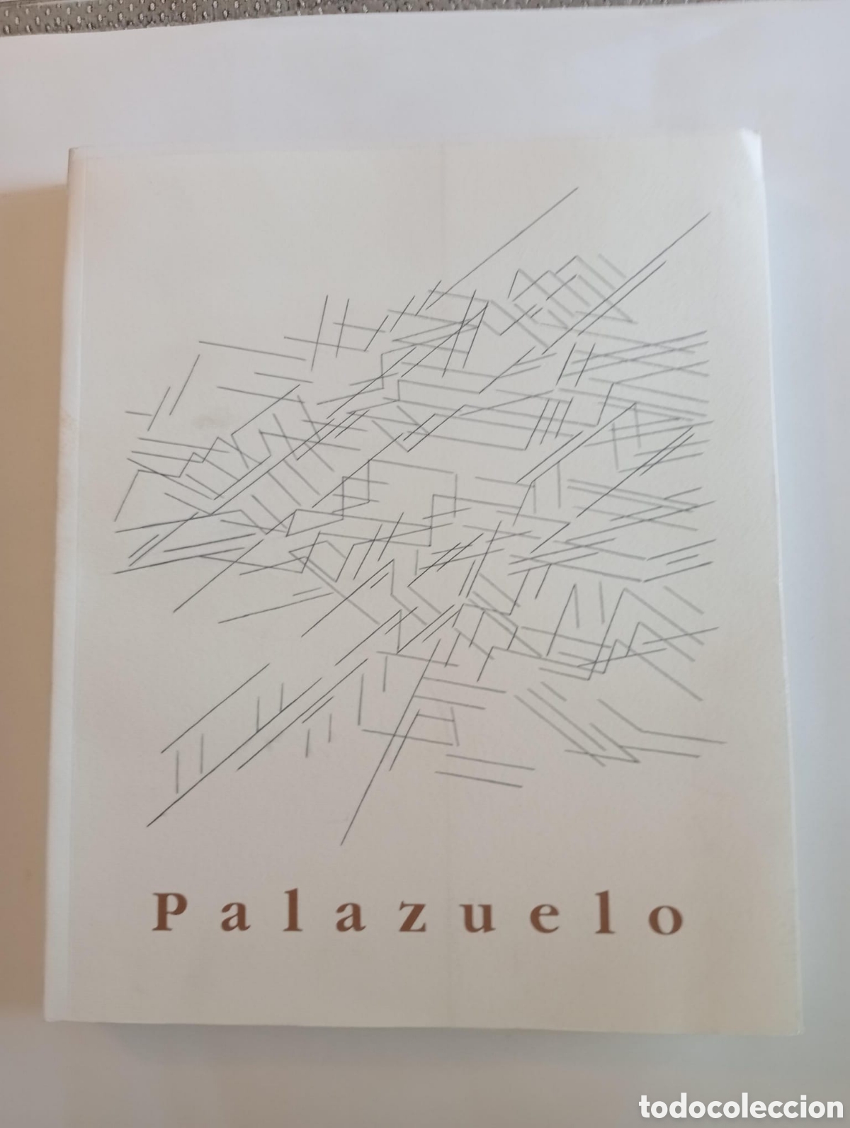 Arte: Palazuelo / Comisaria Marta Gonz&aacute;lez Orbegozo. Museo Reina Sof&iacute;a, 1995.