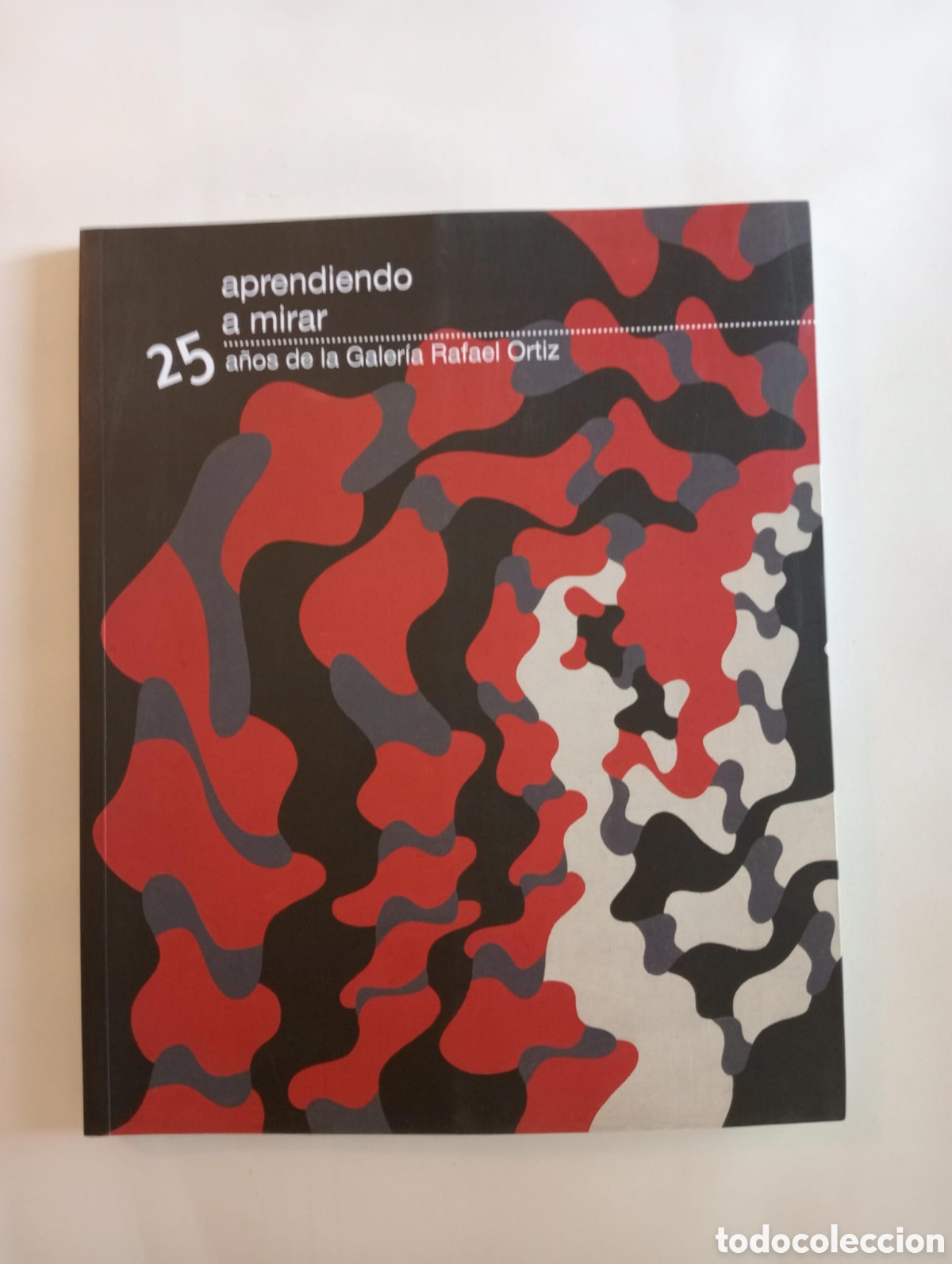 Arte: Aprendiendo a mirar. 25 a&ntilde;os de la Galer&iacute;a Rafael Ortiz