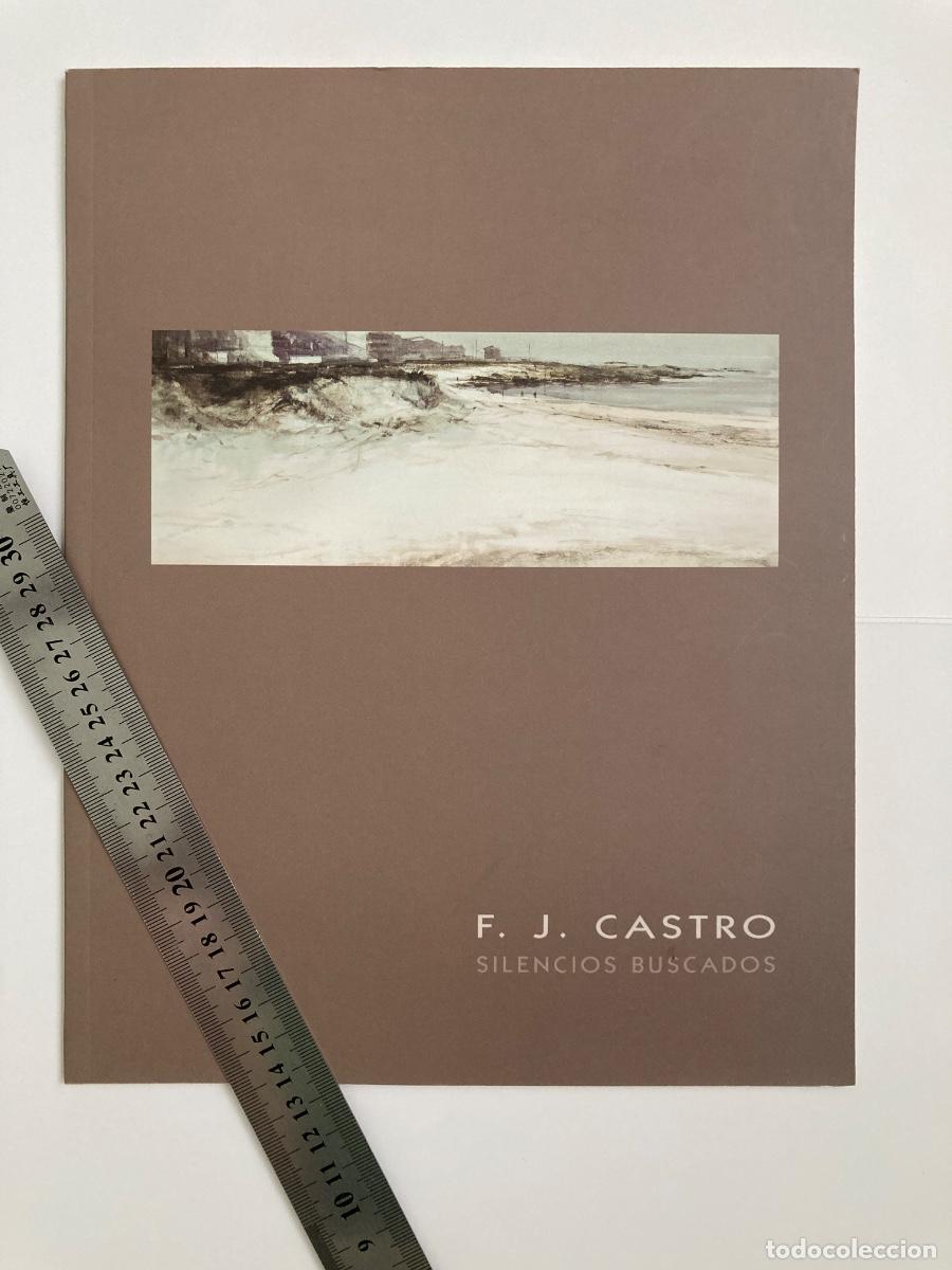Arte: F. J. CASTRO Silencios encontrados cat&aacute;logo de arte Galeria de Arte Sokoa 2008