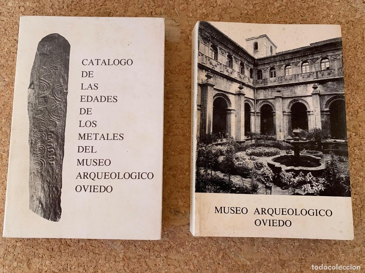 Arte: Cat&aacute;logo de cn las Edades de los metales del Museo Arqueol&oacute;gico Oviedo y Museo Arqueol&oacute;gico (Bols 51