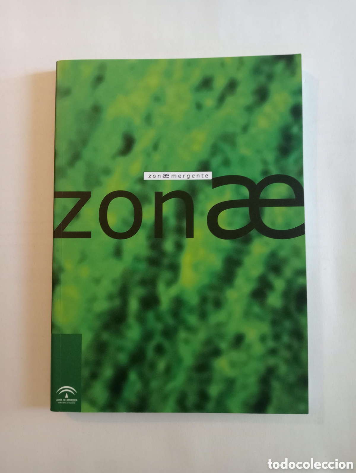 Arte: ZONA EMERGENTE: MARIA CA&Ntilde;AS Y JUAN FRANCISCO ROMERO, VALERIANO LO PEZ, DORA GARCIA, GHADA AMER
