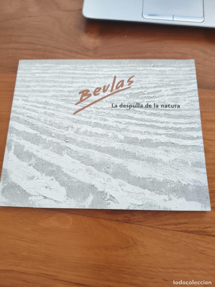 Arte: Beulas - La despulla de la natura. Museu d'Art de Girona.
