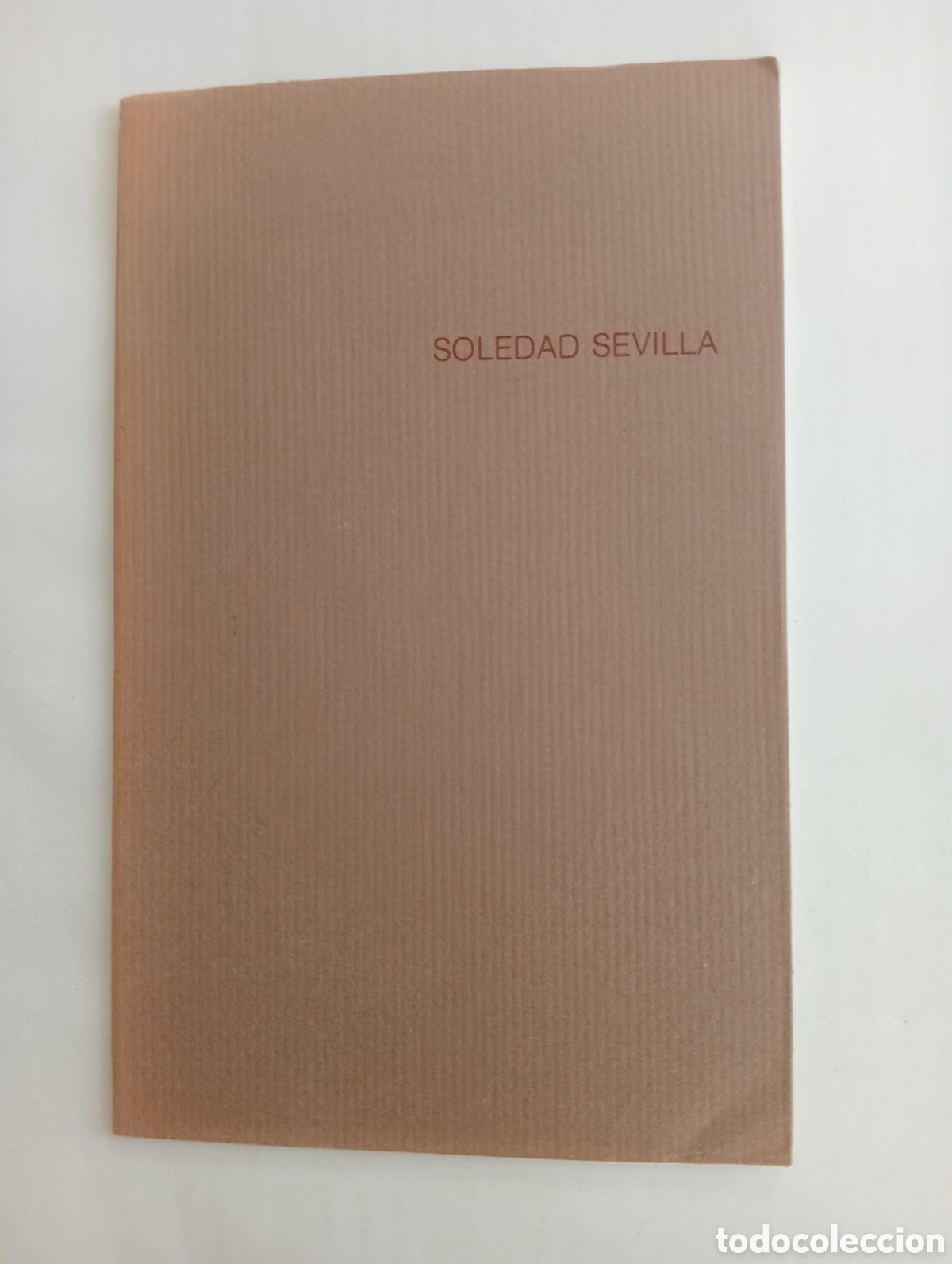 Arte: Soledad Sevilla. Meninas. Museo de Bellas Artes de M&aacute;laga 1984.