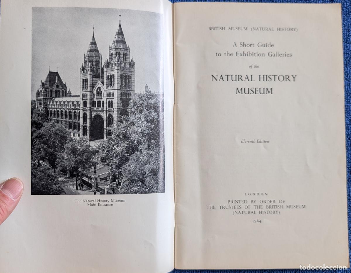 Arte: British Museum Guide - Natural History (1964) - Foto 3