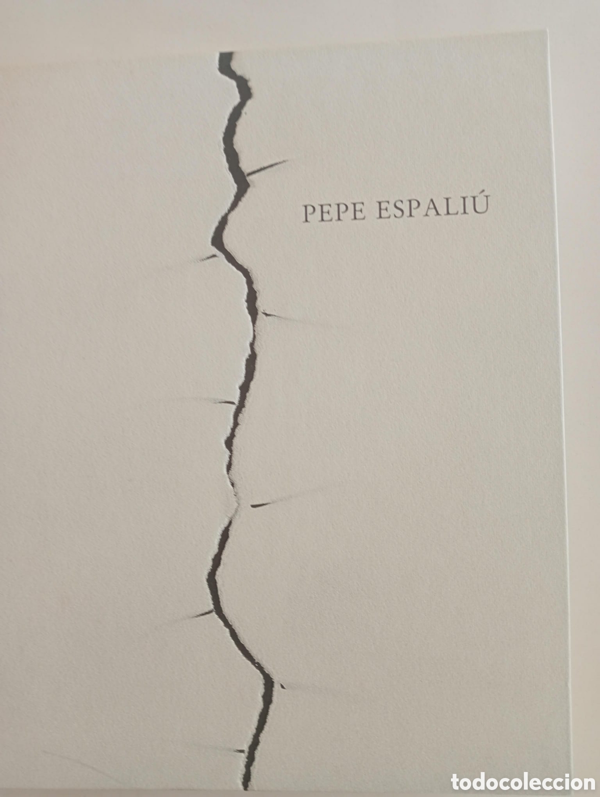 Arte: Pepe Espali&uacute; - Obra pl&aacute;stica y textos - Libro exposici&oacute;n 2003 Museo Reina Sof&iacute;a.