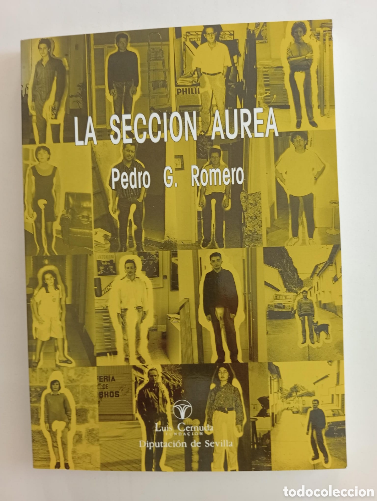 Arte: La secci&oacute;n &aacute;urea / Pedro G. Romero. Fundaci&oacute;n Luis Cernuda - Diputaci&oacute;n de Sevilla 1989