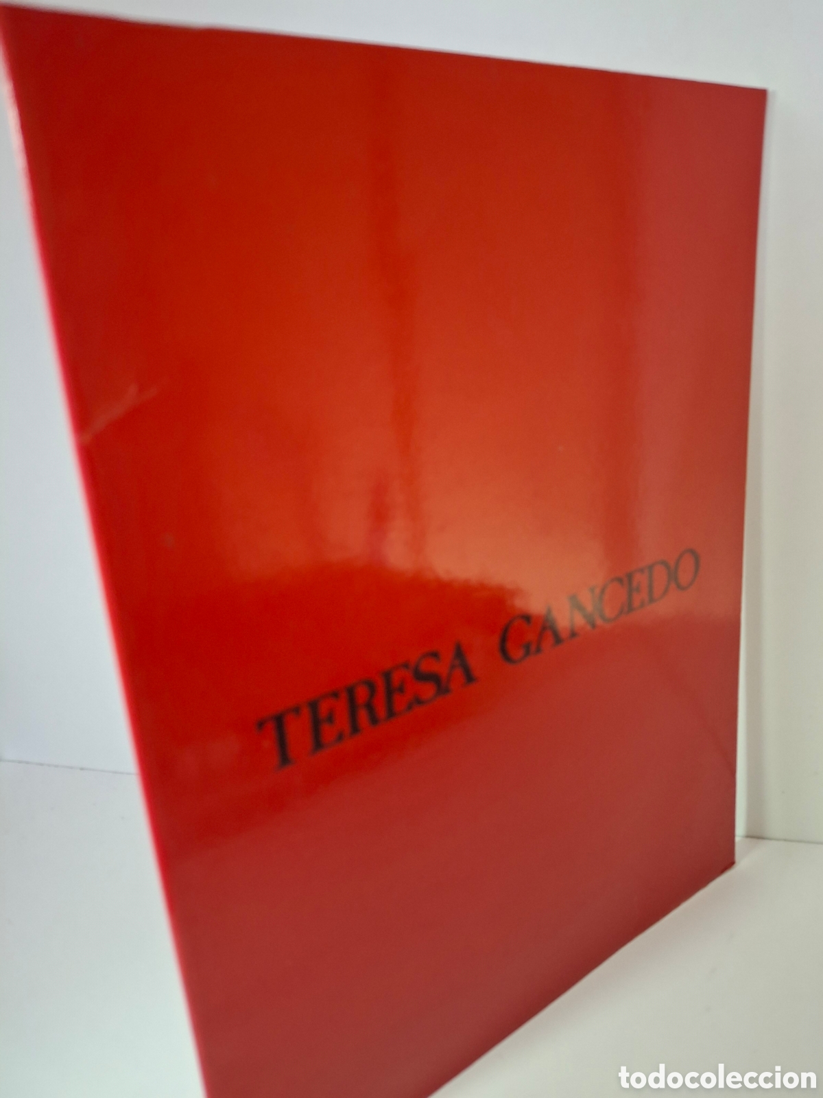 Arte: CATALOGO TERESA GANCEDO, GALER&Iacute;A LUIS ADELANTADO, 1988