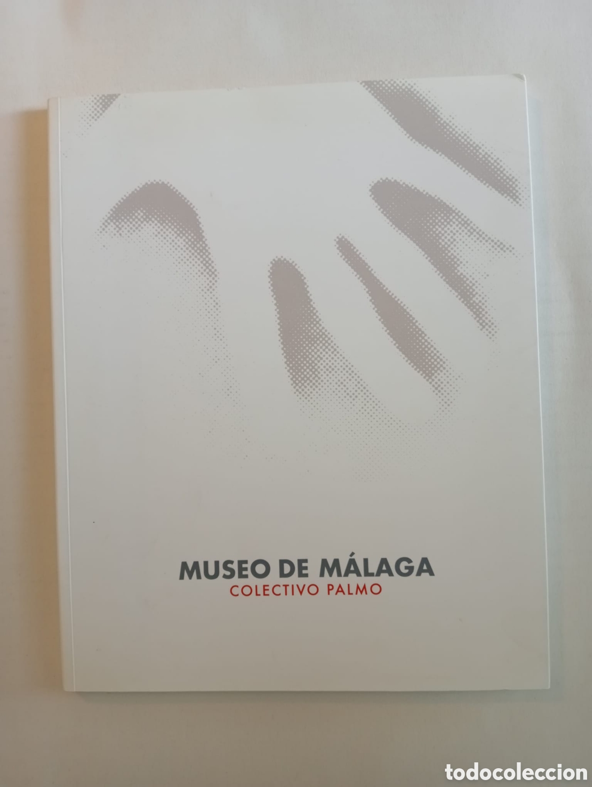 Arte: Museo de M&aacute;laga: Colectivo Palmo. Textos de Enrique Casta&ntilde;os Al&eacute;s