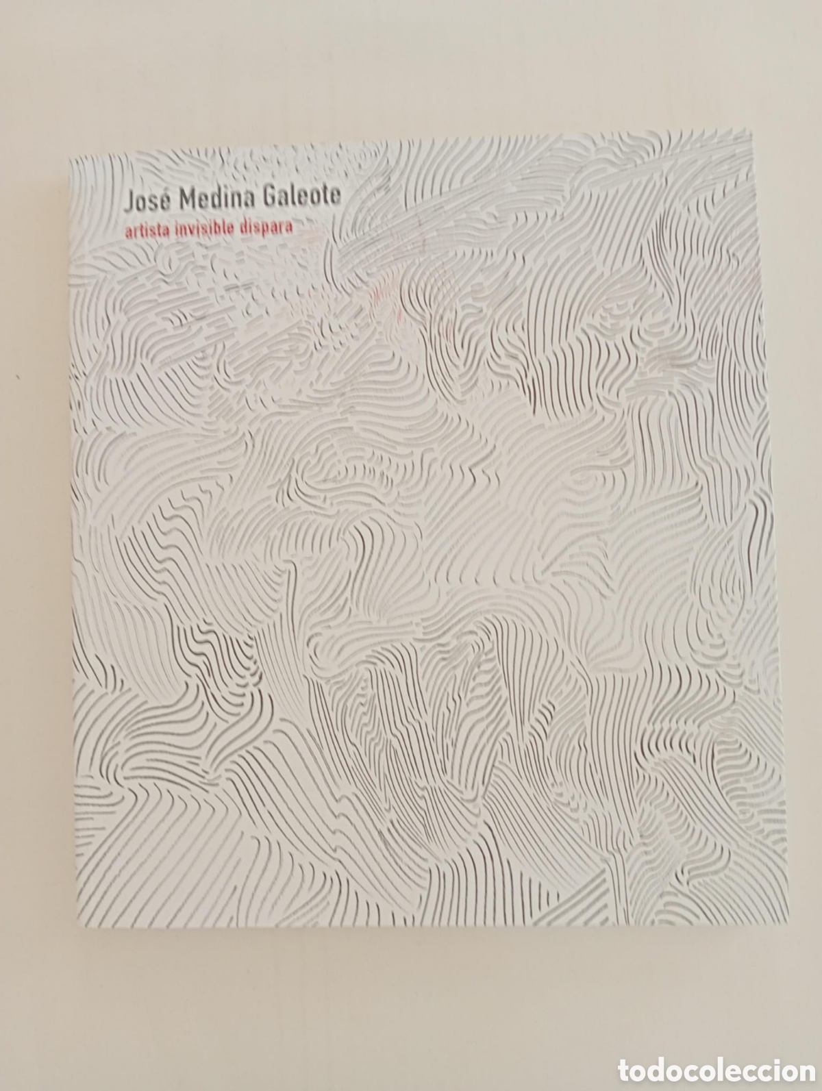 Arte: Jos&eacute; Medina Galeote. Artista invisible dispara. Centro de Arte Contempor&aacute;neo de M&aacute;laga
