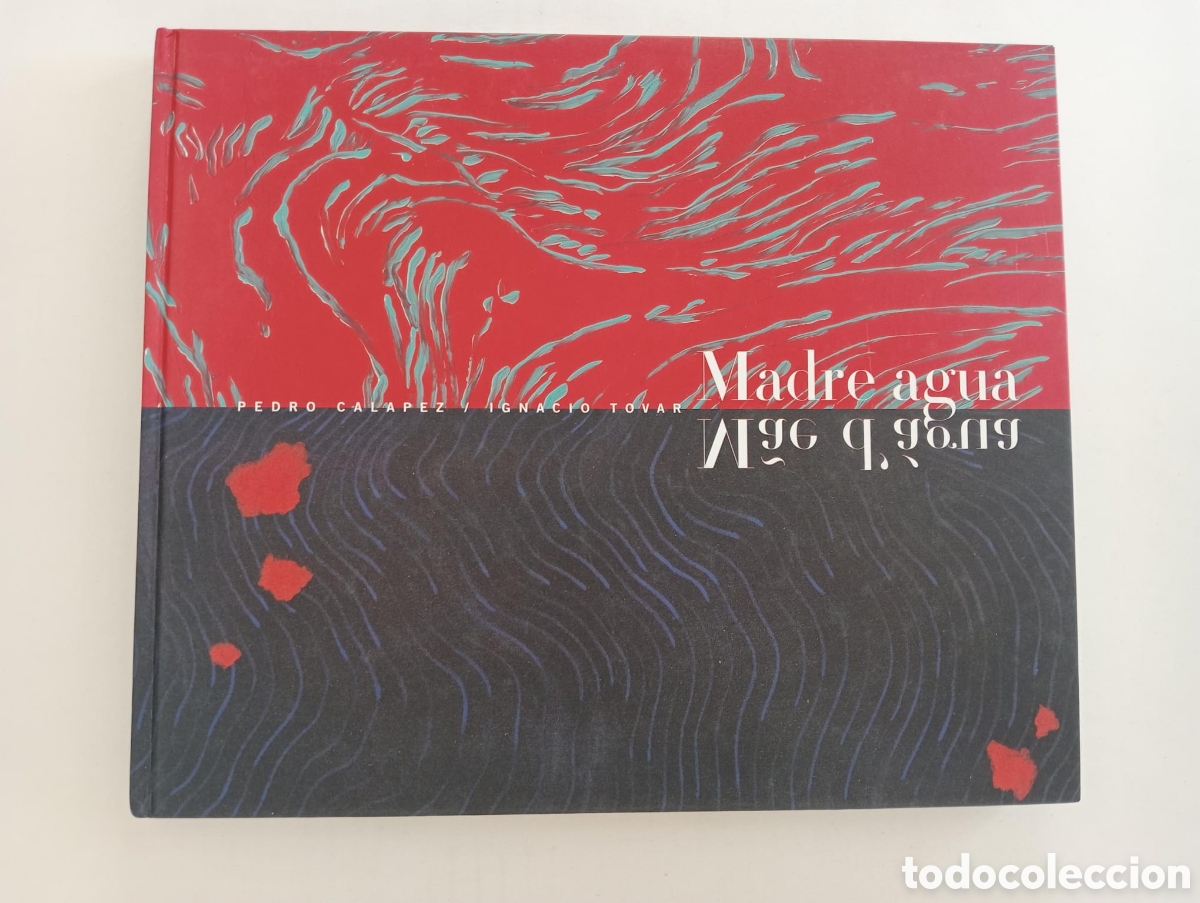 Arte: Madre Agua, Mae d agua. Pedro Calapez /Ignacio Tovar. MUBA Badajoz