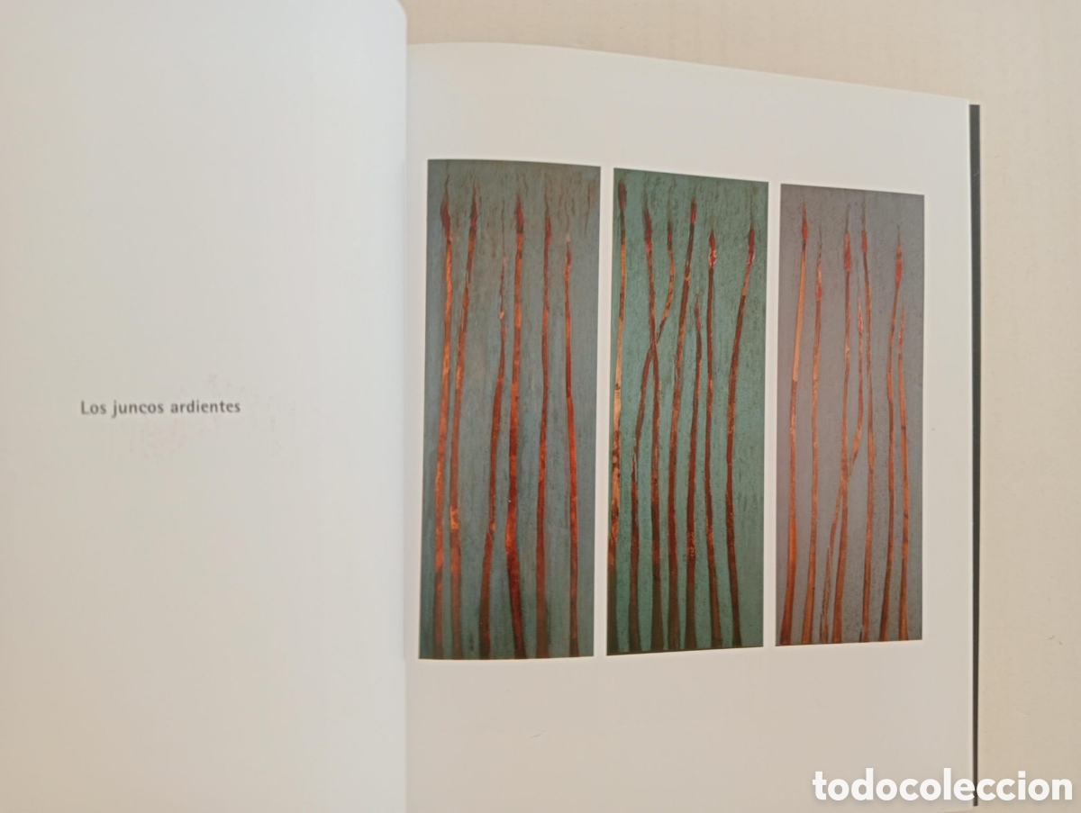 Arte: Pedro Olalla. El laberinto del naufrago. - Foto 3