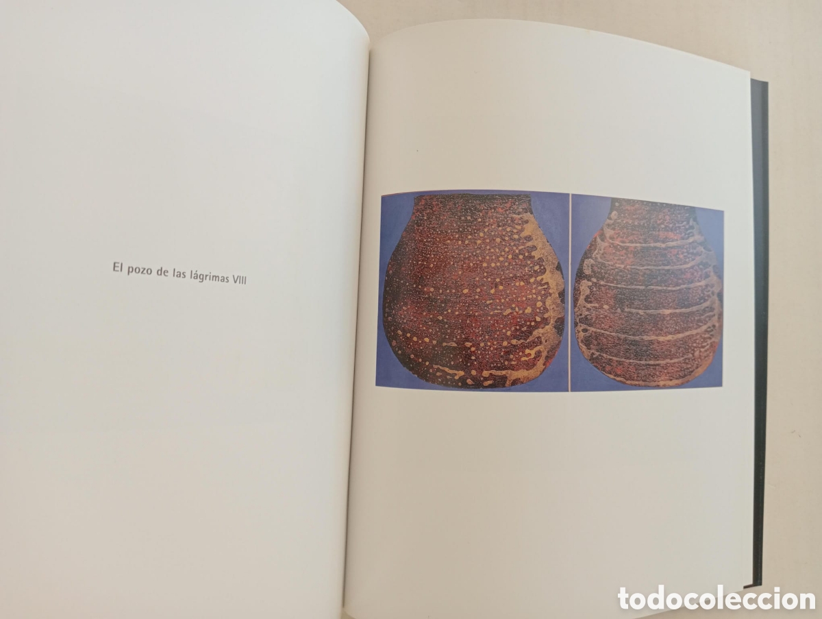 Arte: Pedro Olalla. El laberinto del naufrago. - Foto 4