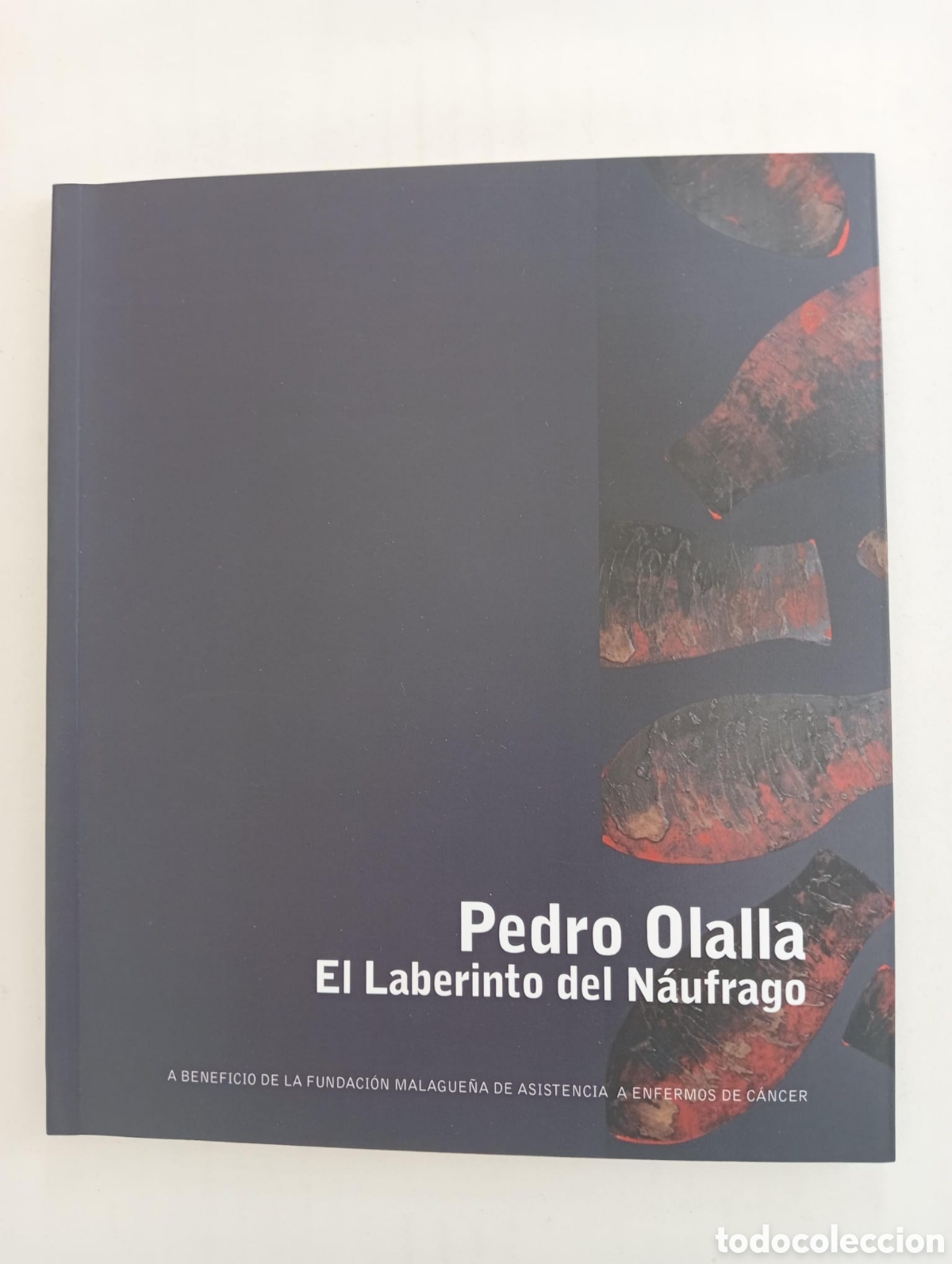 Arte: Pedro Olalla. El laberinto del naufrago. - Foto 1
