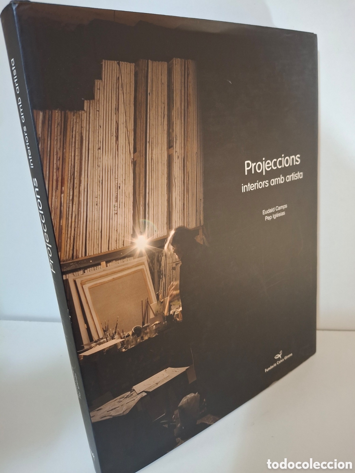 Arte: CATALOGO PROJECCIONS, INTERIORS AMB ARTISTA, EDUARD CAMPS-PEP IGLESIAS, 2008
